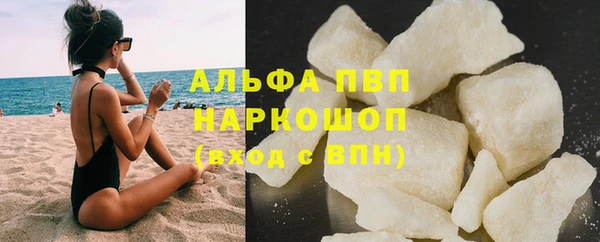 стаф Коряжма