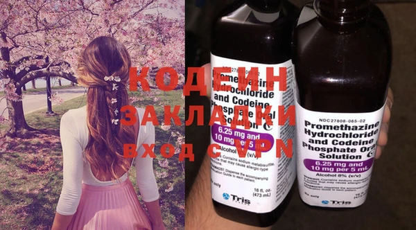стаф Коряжма