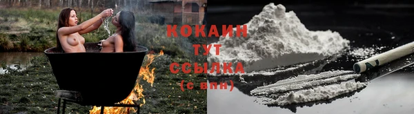 стаф Коряжма