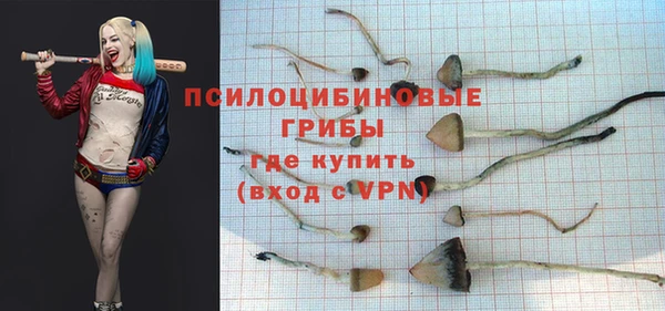 СК Корсаков