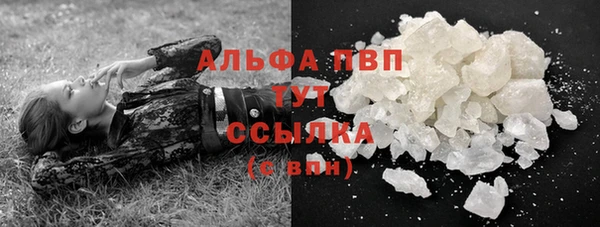 стаф Коряжма