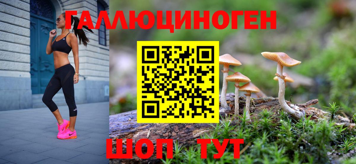 Псилоцибиновые грибы мухоморы  Галлюциногенные грибы Magic Shrooms  купить наркотики цена  Вход с VPN  Сызрань 